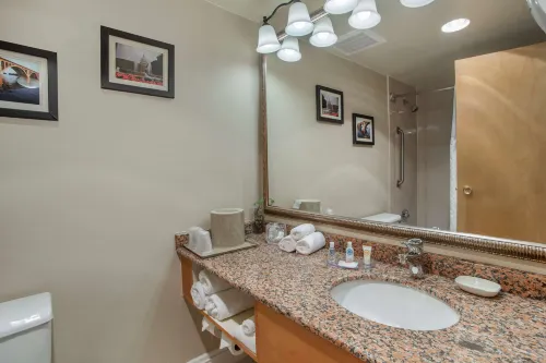 Comfort Inn Shady Grove - Gaithersburg - Rockville Chambres Photos
