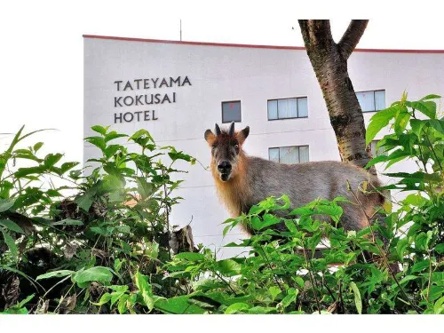 Tateyama Kokusai Hotel Extérieur Photos