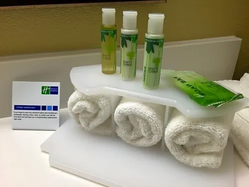 Holiday Inn Express Chicago NW - Arlington Heights Chambres Photos