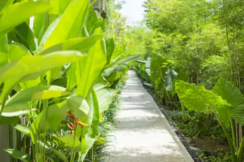 Andaz Bali, by Hyatt Рядом с отелем Photos