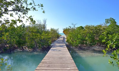 Sol Cayo Coco In der Nähe des Hotels Photos