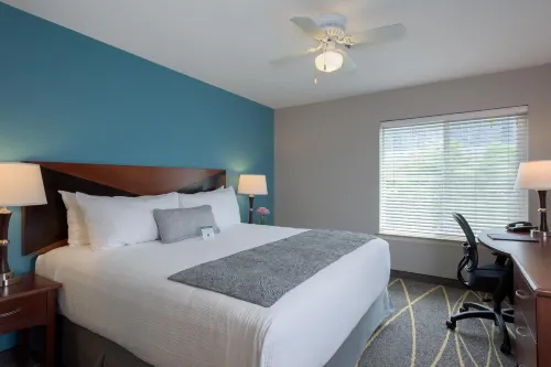 Belltown Inn Photos