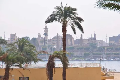 El Nakhil Hotel À proximité de l'hôtel Photos
