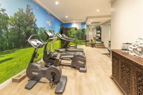 The Bailey's Hotel London Kensington Leisure & Recreation Photos