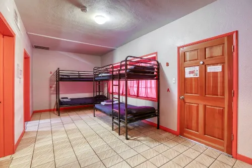 SIN City Hostel Chambres Photos