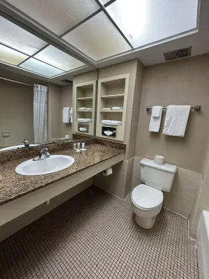 Tahitian Inn Boutique Hotel Tampa Photos