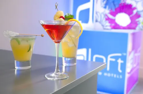 Aloft Silicon Valley Leisure & Recreation Photos