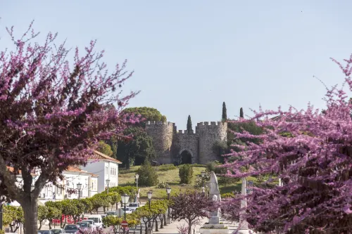 Alentejo Marmòris Hotel & Spa, a Small Luxury Hotel of the World À proximité de l'hôtel Photos
