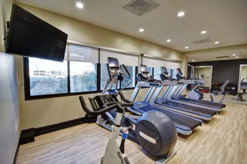 Embassy Suites by Hilton Santa Clara Silicon Valley Leisure & Recreation Photos