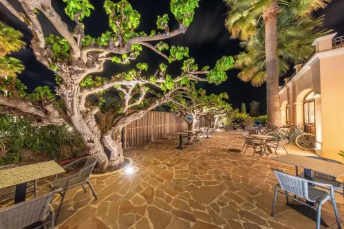 Hotel Brin d'Azur - Saint Tropez Extérieur Photos