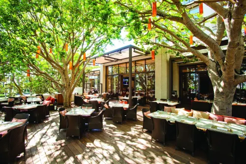 Pendry Newport Beach Dining Photos