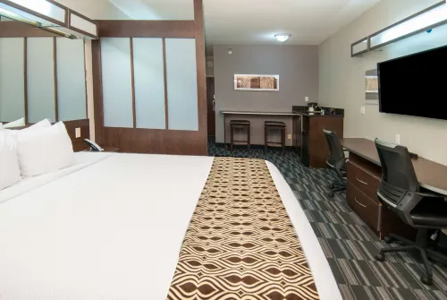 Microtel Inn & Suites by Wyndham Scott Lafayette Chambres Photos