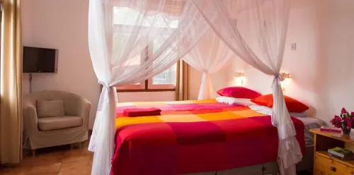 Q-Bar & Guesthouse Photos