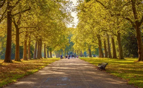 Grand Royale London Hyde Park Circondario Photos