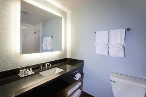 Wyndham Orlando Resort International Drive Chambres Photos
