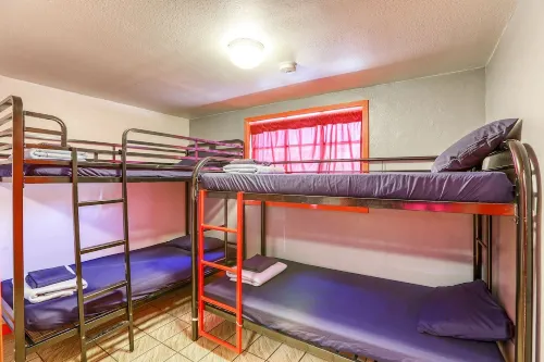 SIN City Hostel Chambres Photos