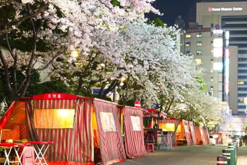 Lotte Hotel Busan Dekat Hotel Photos