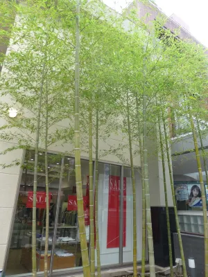 Hotel Hanakomichi À proximité de l'hôtel Photos