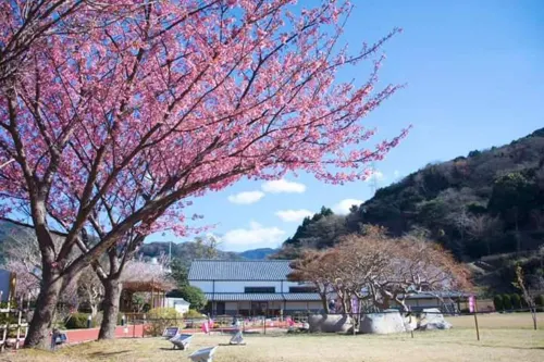 HOTEL LAFORET SHUZENJI Exterior Photos