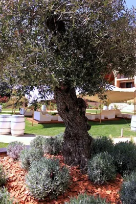Hôtel Renaissance - Aix-en-Provence Extérieur Photos