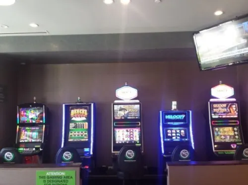 Wyndham Garden Elk Grove Village/O'Hare Photos