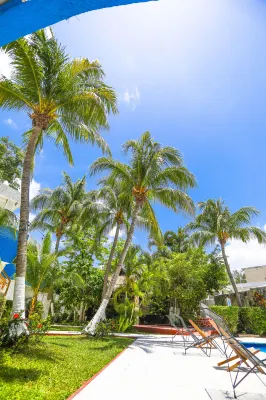 Hotel Caribe Internacional Cancun Общественные зоны Photos
