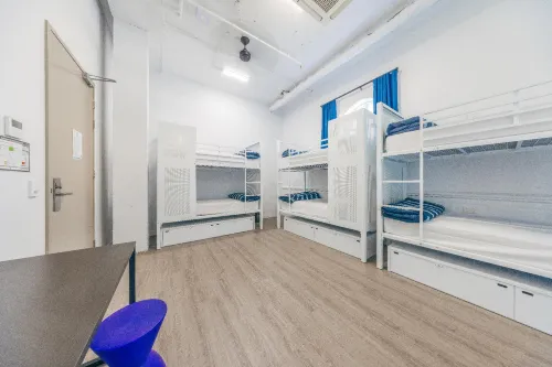 Maze Backpackers - Gold Coast Chambres Photos