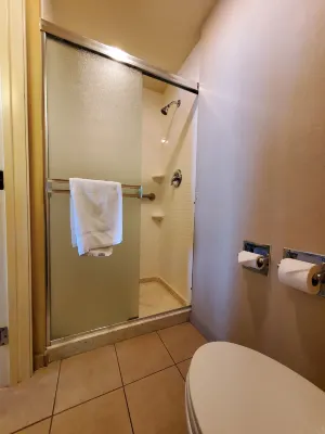 Royal Pacific Motor Inn Chambres Photos