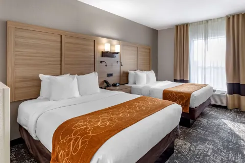 Comfort Suites Anderson-Clemson Photos