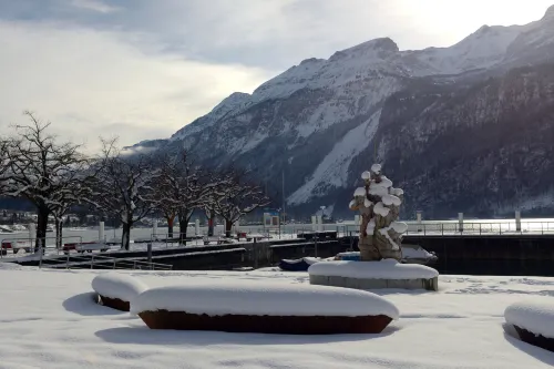 Hotel Brienz À proximité de l'hôtel Photos