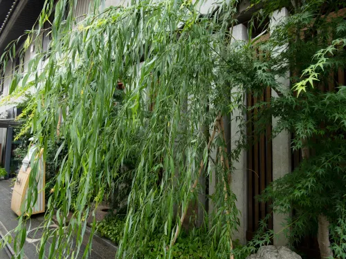 Ryokan Kohro Esterni Photos