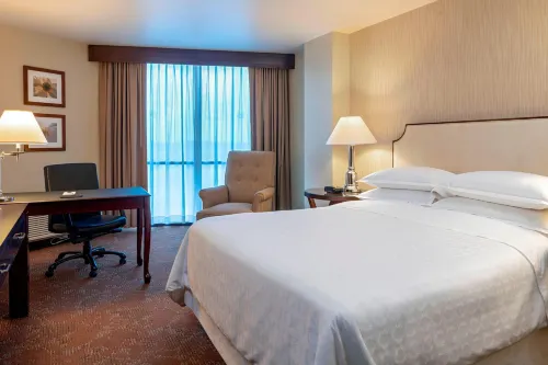 Sheraton Houston Brookhollow Hotel Photos