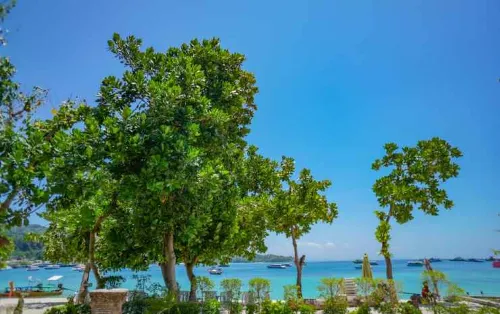 Phi Phi Nice Beach Resort Near Hotel Photos