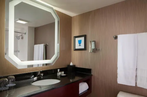 Sheraton DFW Airport Hotel Rooms Photos