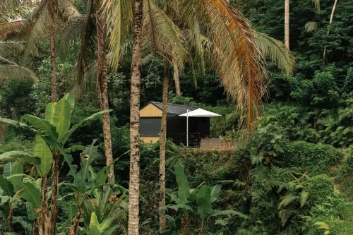 Bobocabin Ubud Bali Dekat Hotel Photos