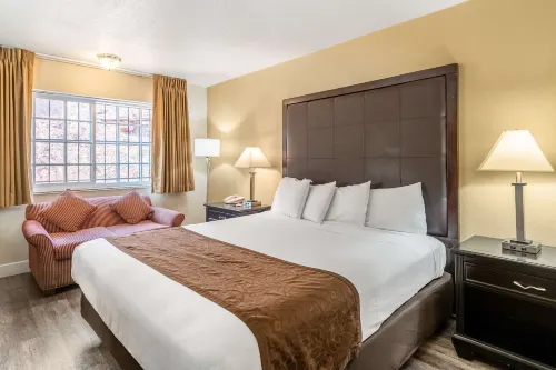 Americas Best Value Inn and Suites Flagstaff Featured Photos