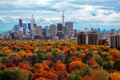 Chelsea Hotel Toronto 호텔 주변 Photos