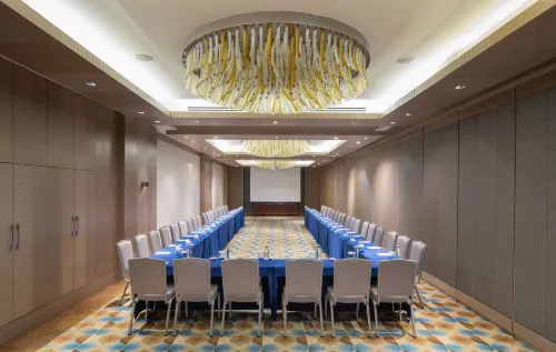 Windsor Hotel & Convention Center Istanbul Espaces Affaires Photos