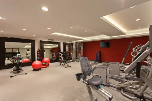 Hilton Garden Inn Irvine/Orange County Airport Leisure & Recreation Photos