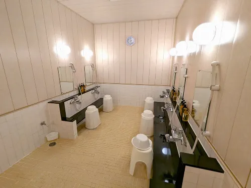 Yokote Central Hotel Photos