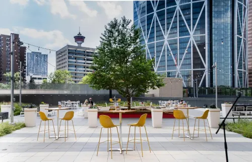Delta Hotels Calgary Downtown Public Areas Photos