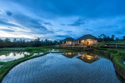 Cahaya Ubud Villa Dekat Hotel Photos