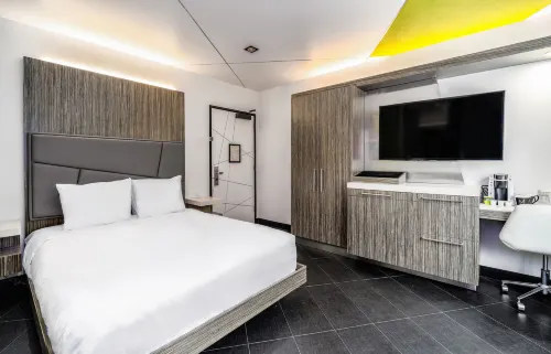 The Moment Hotel Rooms Photos