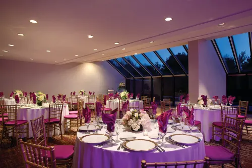 Hilton Boston/Dedham Mahlzeiten Photos