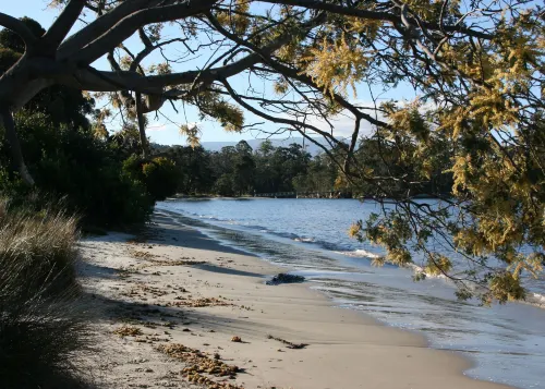 Snug Beach Cabin and Caravan Park Dekat Hotel Photos