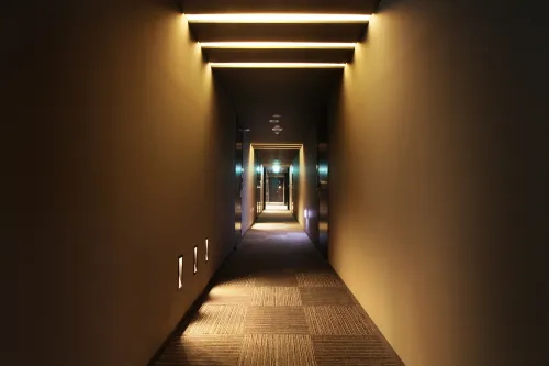 Vine Hotel Aree comuni Photos
