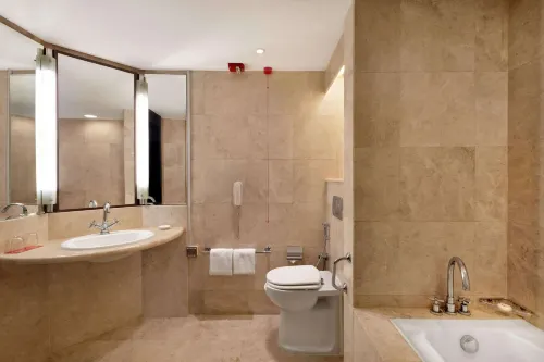 Ramada Plaza by Wyndham Dubai Deira Chambres Photos