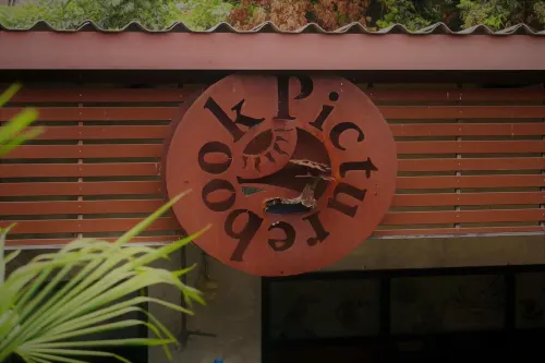 The Picturebook Guesthouse Photos