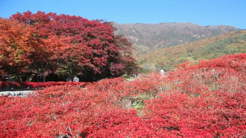 Dormy Inn Kofu Natural Hot Spring Kaiji No Yu Reopening on February 3rd 2025 À proximité de l'hôtel Photos