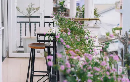 Cherry House Dalat Yleiset tilat Photos